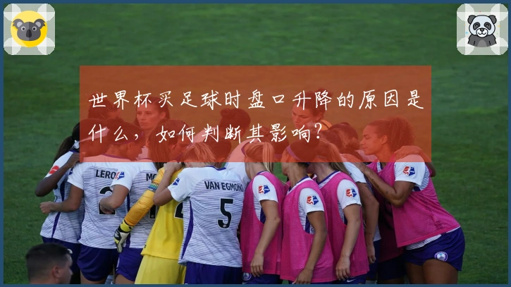 世界杯买足球时盘口升降的原因是什么，如何判断其影响？