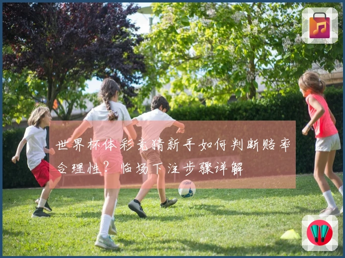 世界杯体彩竞猜新手如何判断赔率合理性?临场下注步骤详解