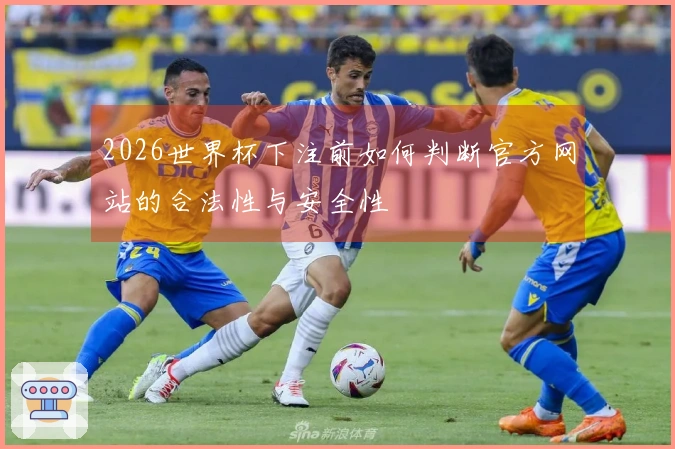2026世界杯下注前如何判断官方网站的合法性与安全性