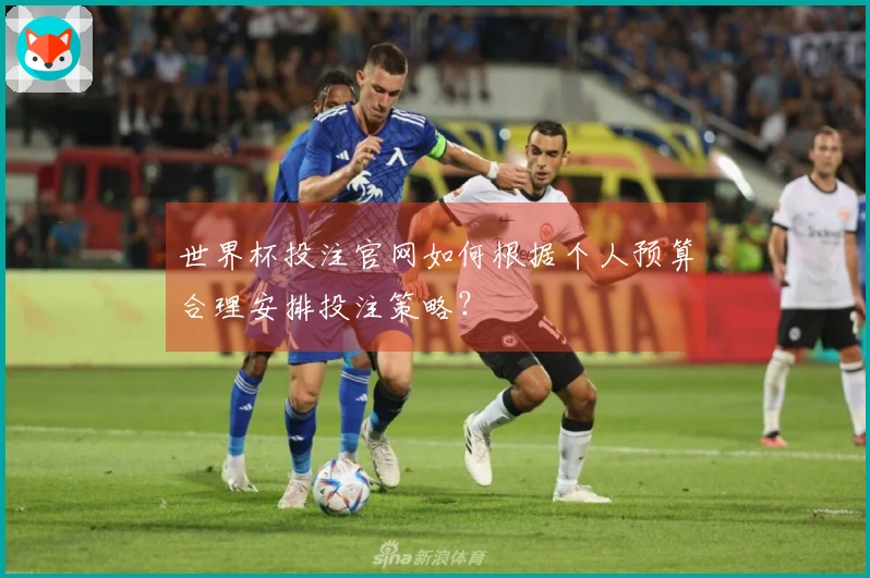 世界杯投注官网如何根据个人预算合理安排投注策略？